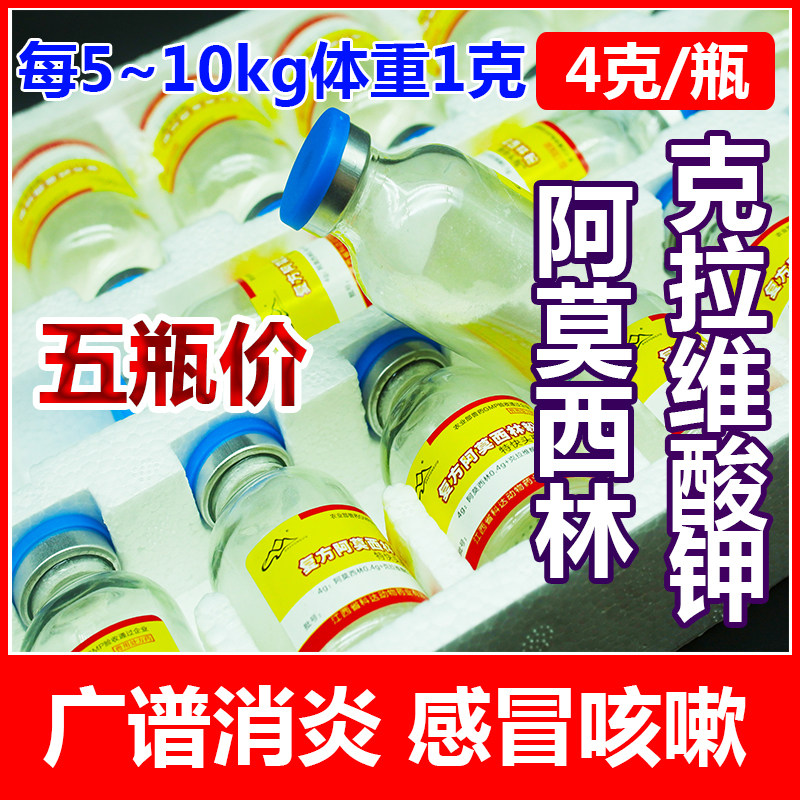 [5 bottle price]Amoxicillin Clavulanate potassium Pets injection Dogs Diminish inflammation Cold Powderin the Pet/Pet food and supplies , Animal drugs and pharmaceutical , Cat/Drug Dogs  category - from Buy2taobao.com to provide professional Taobao agent buy service