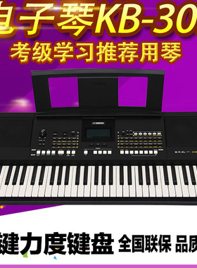 雅马哈电子琴KB309 专业考级初学成人入门演奏61键力度 KB291升级