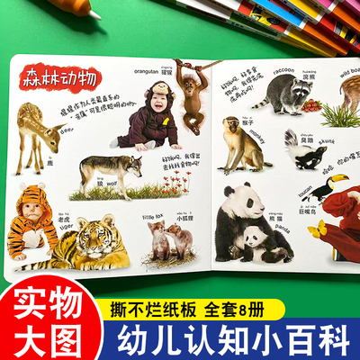 撕不烂幼儿认知小百科