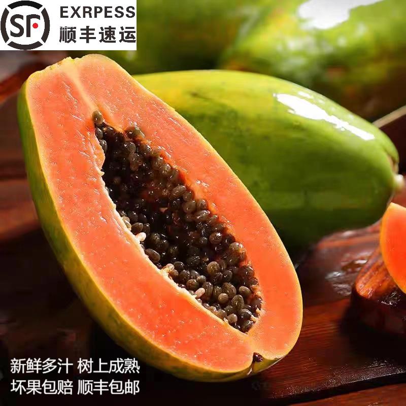 树上熟红心木瓜顺丰陆运包邮