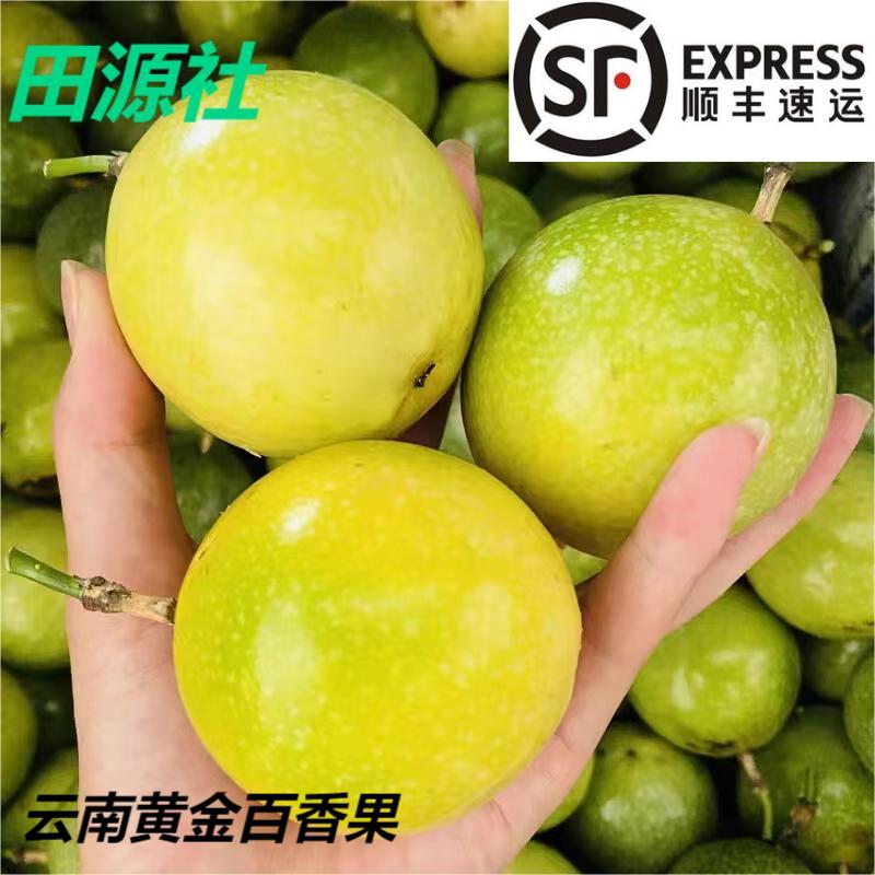 精品钦蜜9号百香果纯甜味酸