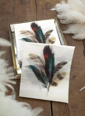 创意羽毛印花餐巾纸酒店摆台纸布生日插杯花纸巾蝶骨巴特手工纸巾