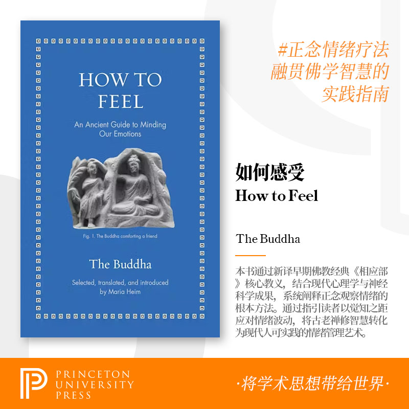 【2025年秋季新书】How to Feel 感知之法:古代情绪管理指南 英文原版 普林斯顿出版社
