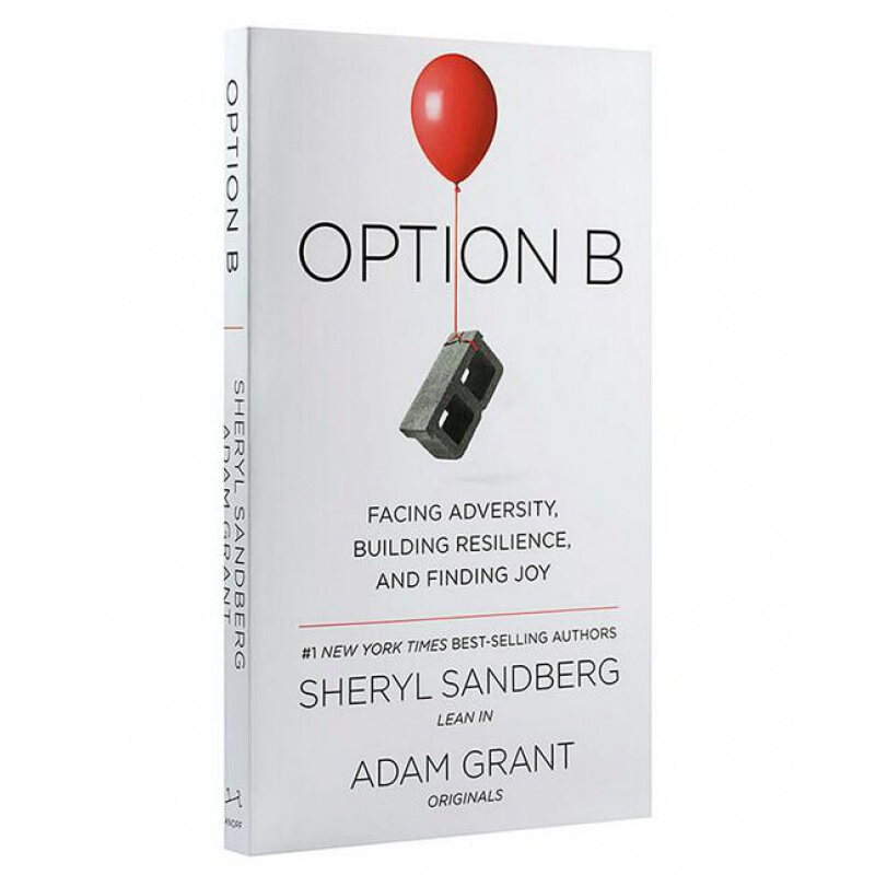Option B 另一种选择 英文原版 方案 选项B