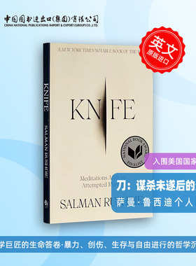 刀：谋杀未遂后的沉思Knife: Meditations After an Attempted Murder
