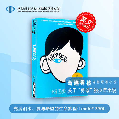 奇迹男孩青春励志小说