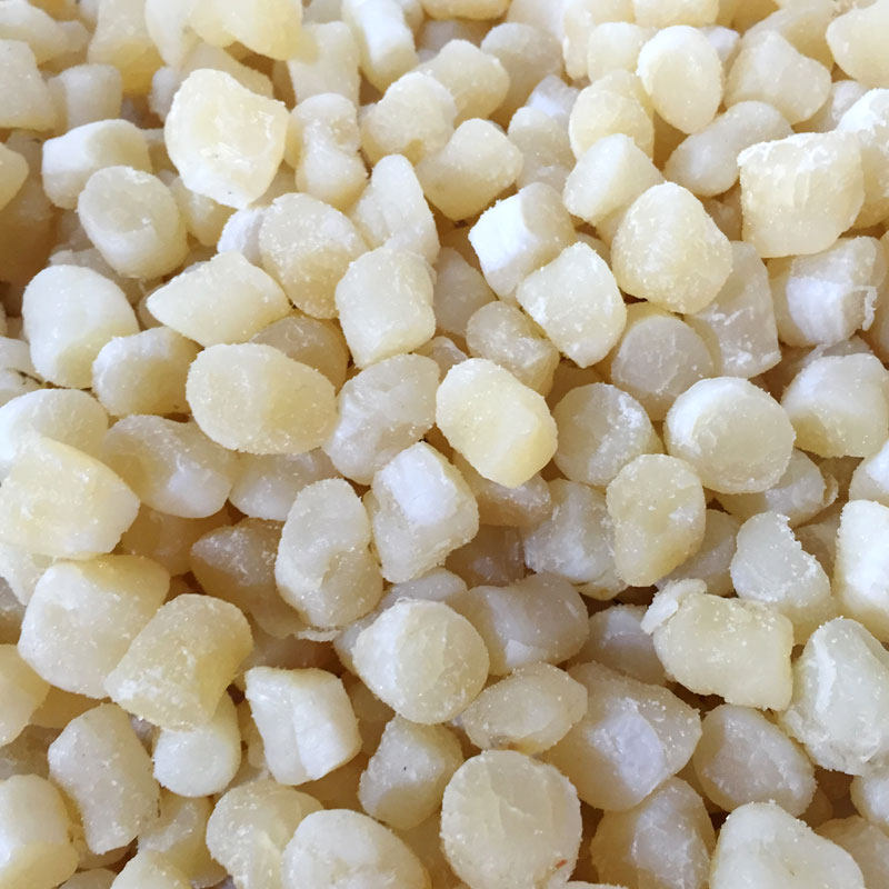 宁波石浦海鲜野生干贝干货250g 淡晒瑶柱 元贝 扇贝肉丁