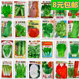 四季 蔬菜种子薄荷藿香生菜香菜胡萝卜韭菜小葱辣椒阳台庭院易种籽