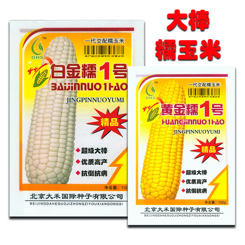 白金糯京黄糯玉米种籽糯粘超级大棒纯糯型农家盆栽玉茭包米谷种子