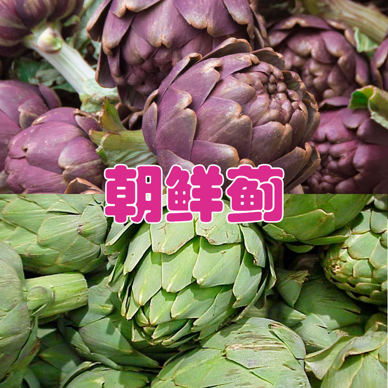 朝鲜蓟种籽蔬菜种子洋蓟特色图片