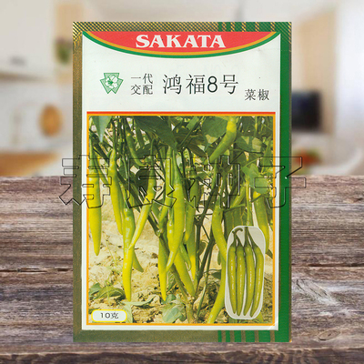 辣椒种子蔬菜种籽杭椒美人椒日本