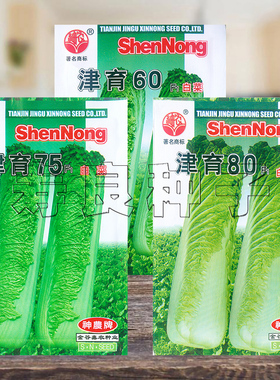 大白菜种子高桩天津绿青麻叶神农津育孑秋播高产盆栽蔬菜种籽寿光