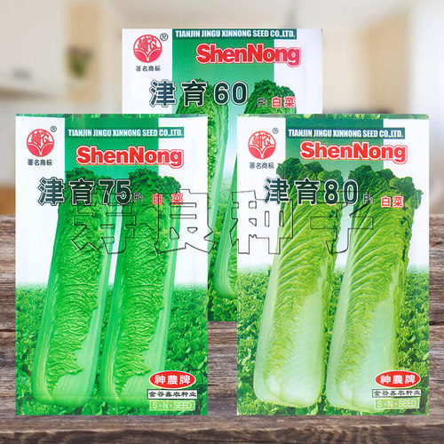 大白菜种子高桩天津青麻神农津育