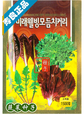 组合特菜种籽蔬菜种子野菜生菜