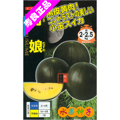 小西瓜种子籽月娘黑皮黄瓤肉2K迷你圆形沙甜日本特色水果孑