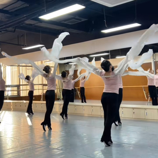 仿真丝维族铃鼓性格考级跟鞋 北舞同款 中国舞考级13十三级藏族水袖