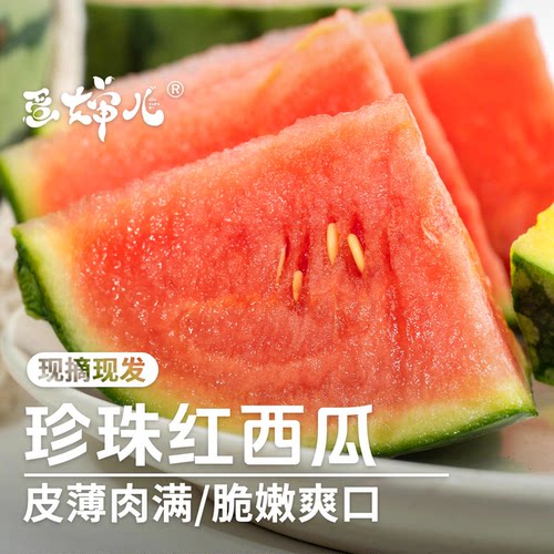 蛋婶儿珍珠红西瓜山东红心西瓜新鲜手撕糖丸冰淇淋小西瓜薄皮红瓤