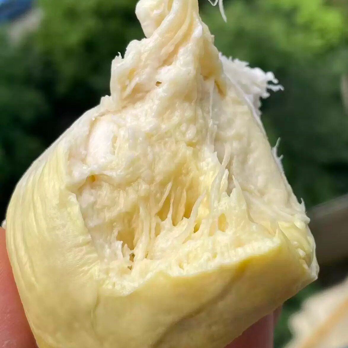 蛋婶儿泰国金枕冷冻榴莲肉盒装袋装冷冻锁鲜保留本味香糯绵密顺