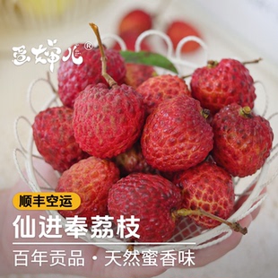 蛋婶儿仙进奉荔枝广东增城新鲜当季时令水果直采带软枝正宗整箱顺
