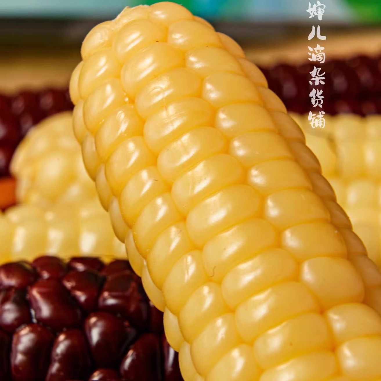 蛋婶儿西双版纳拇指小玉米小苞谷傣族特产迷你粗粮早餐儿童辅食