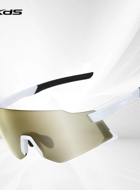 xds喜德盛追风者系列骑行眼镜骑行护目镜四季防风防尘护目眼镜