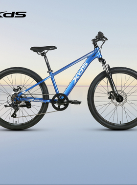 xds喜德盛儿童自行车小王子男女小学生儿童单车脚踏车青少年学生