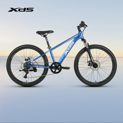 xds喜德盛儿童自行车小王子男女小学生儿童单车脚踏车青少年学生