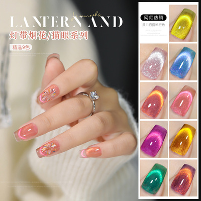 云钻美甲猫眼甲油胶灯带烟花套装