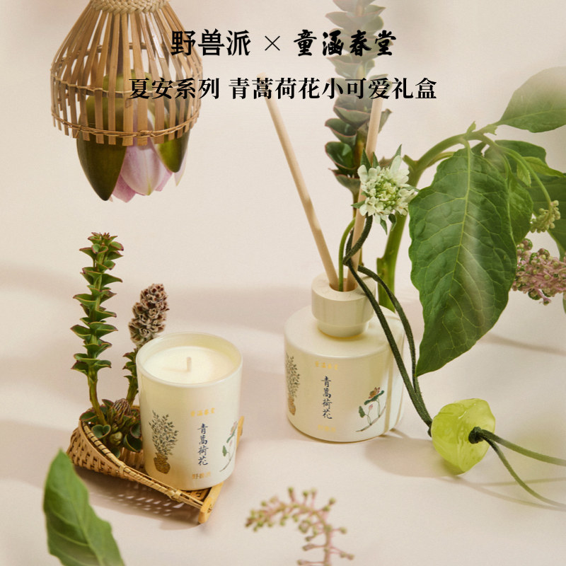 野兽派小可爱探索香氛礼盒香薰蜡烛散香器生日礼物