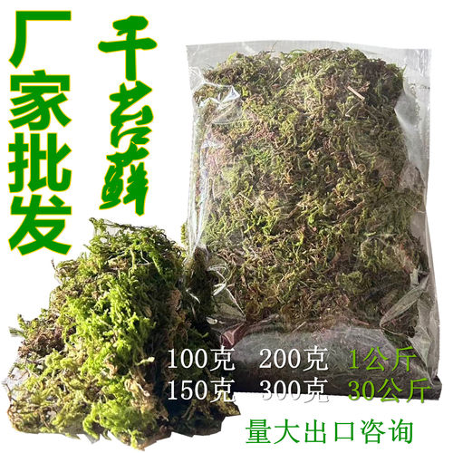干苔藓水苔出口兰科植物厂家批发