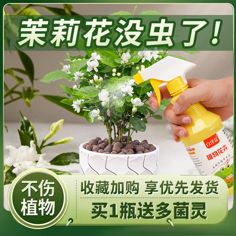 茉莉花蚧壳虫专用药杀虫剂除虫长虫驱虫病虫害常用虫药花生虫子