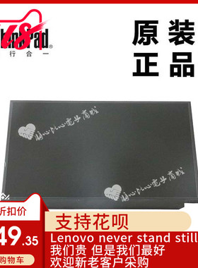 ThinkPad联想X240 X250笔记本液晶屏LCD显示屏雾面屏全新00HM745