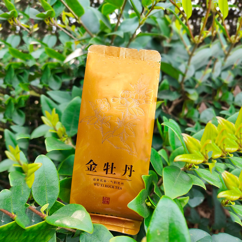 武夷岩茶金牡丹茶叶 大红袍高香茗枞中轻文火乌龙茶盒装