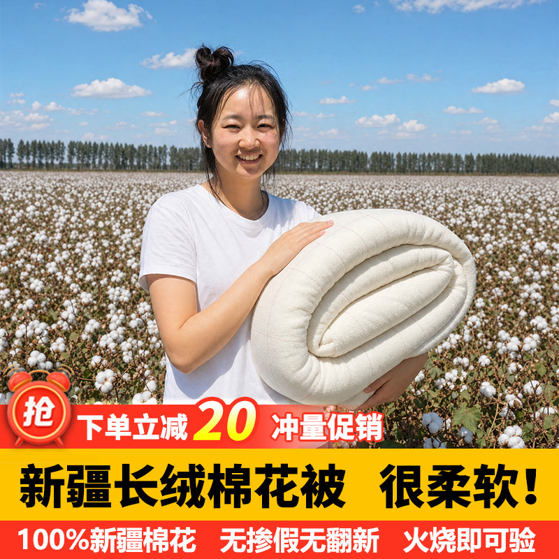 2斤新疆棉被纯棉花被子薄被芯棉絮床垫被褥子棉胎全棉夏凉空调被