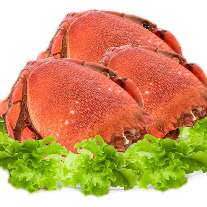 上海现货澳洲进口老虎蟹生蟹每只300~350g(两只)