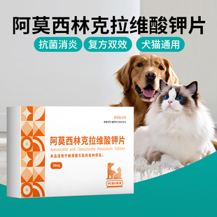 U先狗狗猫咪感冒药猫支鼻咳嗽打喷嚏流鼻涕阿莫西林克拉维酸甲片
