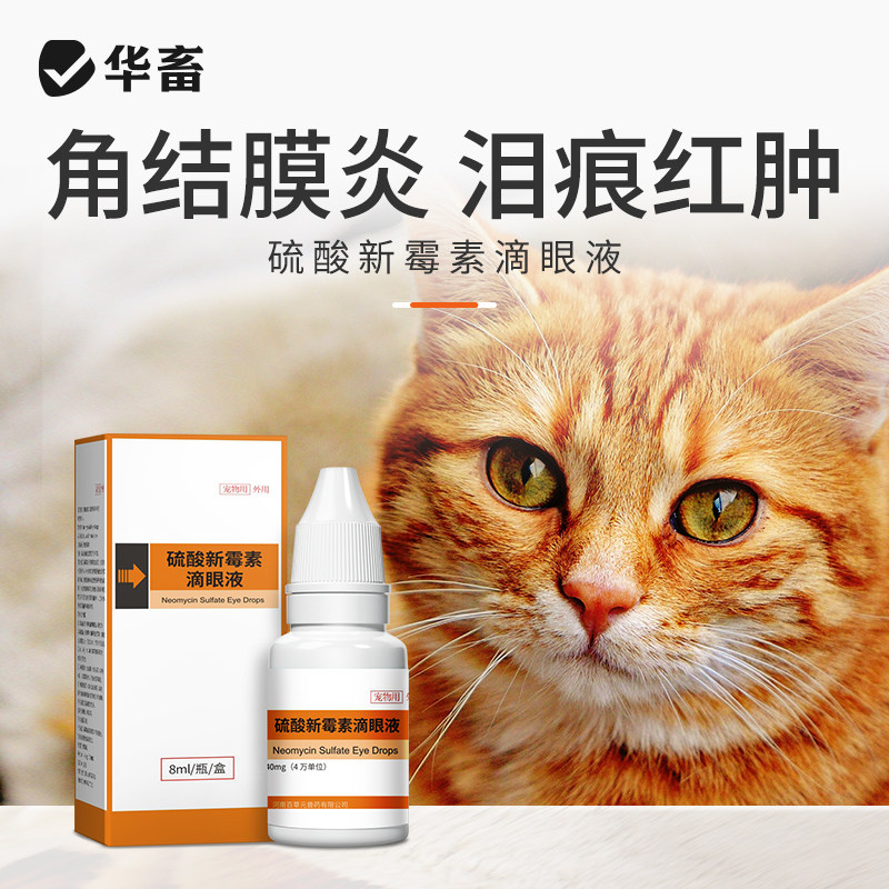 八牧猫咪眼药水眼睛发炎流脓流泪宠物猫咪滴眼液英短狗狗通用消炎,宠物/宠物食品及用品,猫眼/耳/口/鼻疾病药品,淘宝优惠券,粉丝福利购,淘宝优惠卷