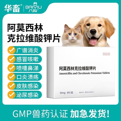 U先狗狗猫咪感冒药猫支鼻咳嗽打喷嚏流鼻涕阿莫西林克拉维酸甲片