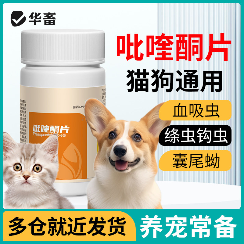 吡喹酮片宠物猫狗犬猫咪体内图片
