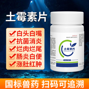 水族乌龟土霉素水龟陆龟肺炎腐甲烂皮白便烂肉烂尾抗菌消炎常备