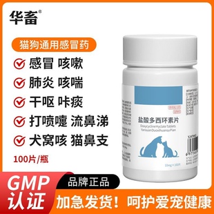 盐酸多西环素片猫狗感冒药咳嗽止咳药宠物喷嚏支气管炎腹泻常备药