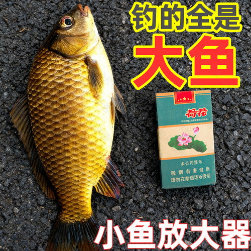 小鱼获放大器钓鱼佬变大鱼模型