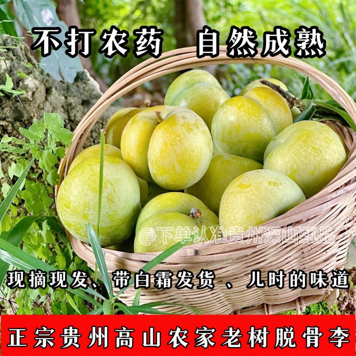 (数量不多、拍完下架)贵州江安李脱骨李青脆李酸甜李孕妇水果
