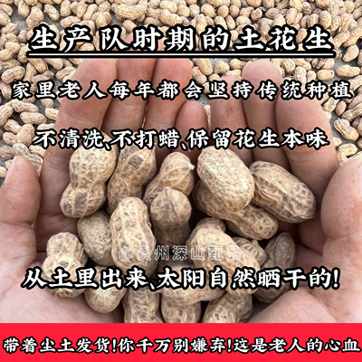 （乡下老人种植带壳土花生）贵州农家老品种生花生干花生