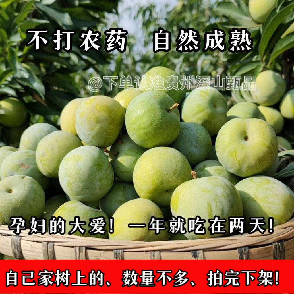 (超级推荐、只有100单)贵州新鲜李子青脆李脱骨李空心江安李