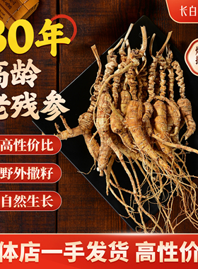 人参长白山非野山参老残参东北林下参籽儿货老山参干人参煲汤泡酒