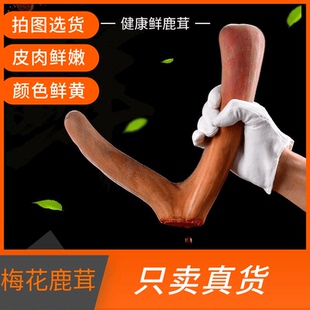 鲜鹿茸整根梅花鹿茸整枝鹿角新鲜带血鹿茸片头茬男性泡酒材料正品