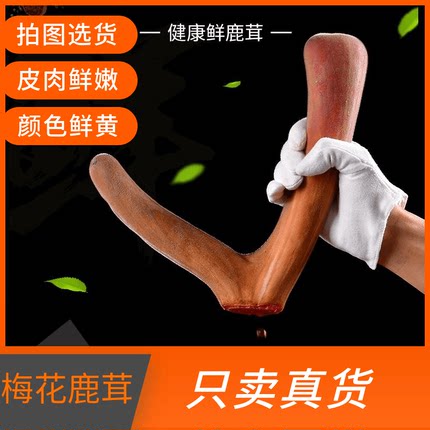 鲜鹿茸整根梅花鹿茸整枝鹿角新鲜带血鹿茸片头茬男性泡酒材料正品
