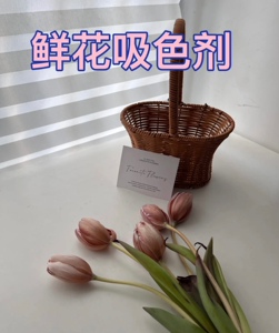 墨尔本午夜蓝布朗尼郁金香吸色剂花妍色鲜花染色剂七夕情人节专用