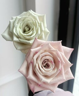 冬季曼塔玫瑰改色专用少女粉吸色剂鲜切花颜色染色剂小瓶装